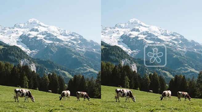 add custom watermark